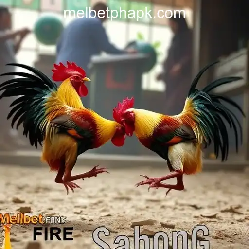 VIP Service MelBet Online Casino Philippines - 24/7 Support and Exclusive Benefits