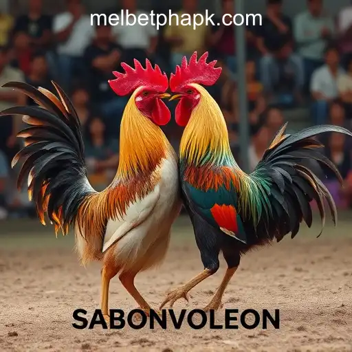 Security and Trust MelBet Online Casino Philippines - International Licenses and Certifications